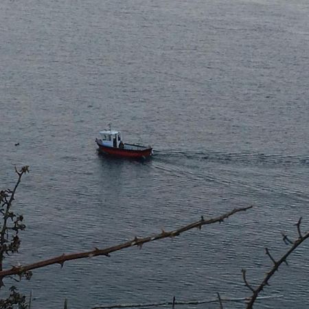 Greencastle Kilkeel Εξωτερικό φωτογραφία